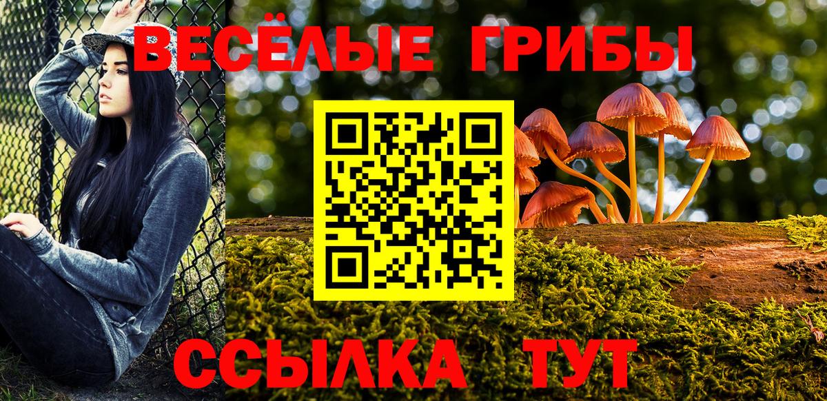 Псилоцибиновые грибы ЛСД Невинномысск